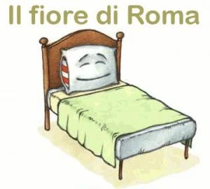 Il fiore di roma - bed and breakfast - roma
